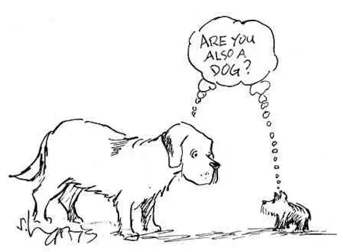 Are you also a dog?